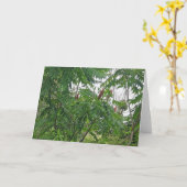 Staghorn Sumac Note Kaart (Gele Bloem)