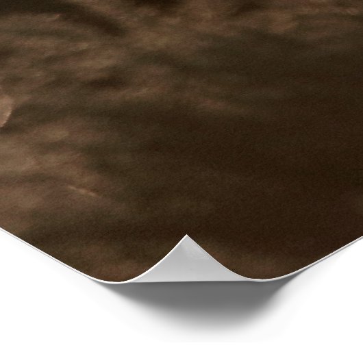 Stags Poster/afdrukken Poster (Hoek)