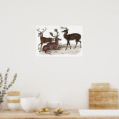 STAGS PRINT (Keuken)