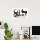 STAGS PRINT (Thuiskantoor)