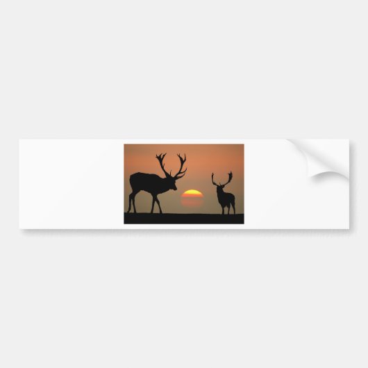 stags sunset.jpg bumpersticker (Voorkant)