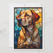 Stained Glass Style Animal Rescue Organization Bedankkaart (Voorkant)