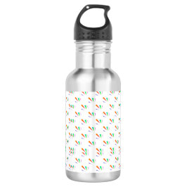 Stainless steel water bottle with a black cap  waterfles 