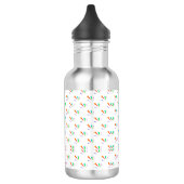 Stainless steel water bottle with a black cap  waterfles  (Links)