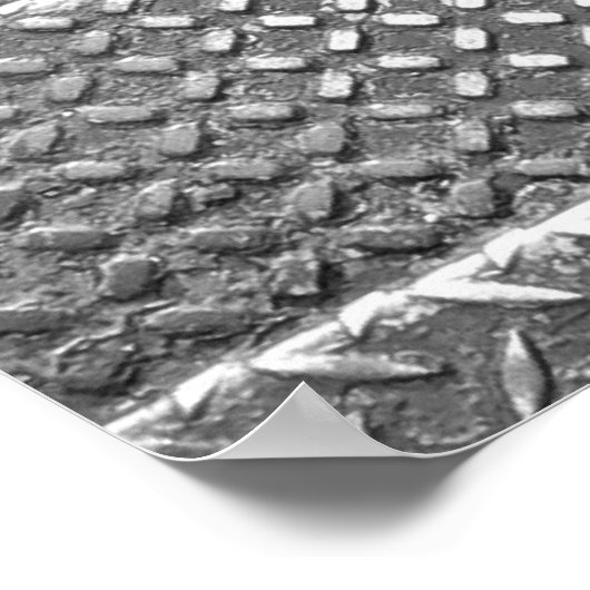 Stairs in Savannah Poster (Hoek)