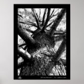 Stairway naar de hemel poster (Voorkant)