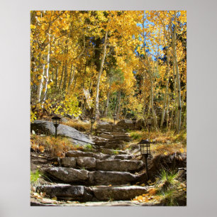 "Stairway to Autumn", Quaking Aspen, portret Poster