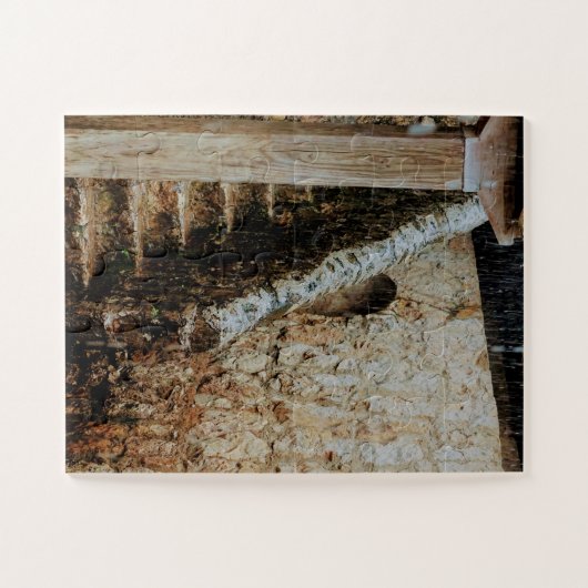 Stairway Worn by Time and Precision Legpuzzel (Horizontaal)