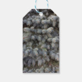 Stalen, grijs, groen en blauw sproeinmedium cadeaulabel (Voorkant)