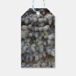 Stalen, grijs, groen en blauw sproeinmedium cadeaulabel