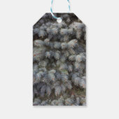 Stalen, grijs, groen en blauw sproeinmedium cadeaulabel (Achterkant)