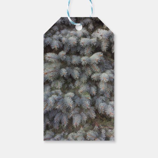 Stalen, grijs, groen en blauw sproeinmedium cadeaulabel (Achterkant)