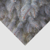 Stalen, grijze, groene en blauwe sproeineimomhulse tissuepapier (Detail)