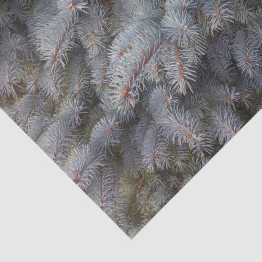 Stalen, grijze, groene en blauwe sproeineimomhulse tissuepapier (Detail)