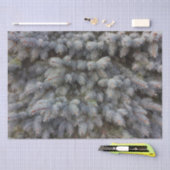 Stalen, grijze, groene en blauwe sproeineimomhulse tissuepapier (Craft)