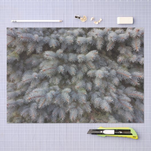 Stalen, grijze, groene en blauwe sproeineimomhulse tissuepapier (Craft)