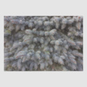 Stalen, grijze, groene en blauwe sproeineimomhulse tissuepapier (Voorkant)