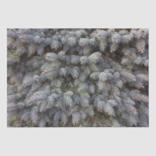 Stalen, grijze, groene en blauwe sproeineimomhulse tissuepapier (Voorkant)