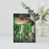 Stalk Briefkaart (Staand voorkant)