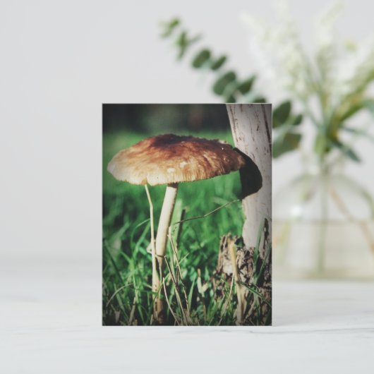 Stalk Briefkaart (Staand voorkant)