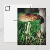 Stalk Briefkaart (Voorkant / Achterkant)