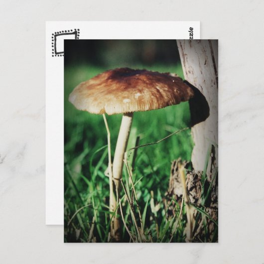 Stalk Briefkaart (Voorkant / Achterkant)