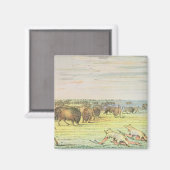 Stalkbuffel Magneet (Voorkant / Achterkant)