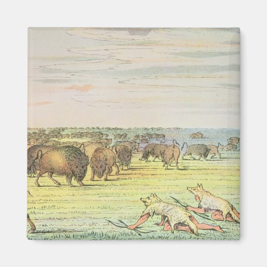 Stalkbuffel Magneet (Voorkant)