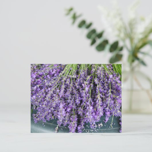 Stalken van het Briefkaart van Lavender (Staand voorkant)