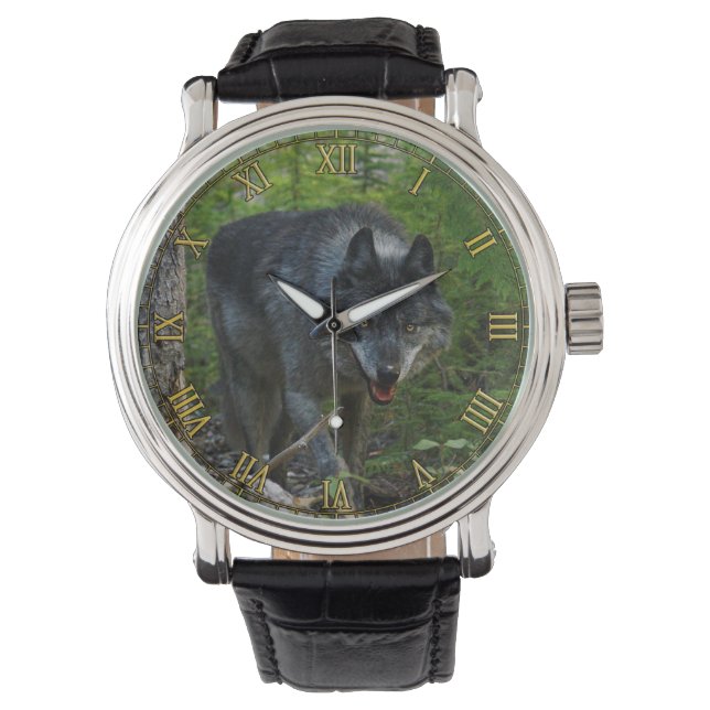 Stalking Grey Wolf in Forest #Gift Watch Range Horloge (Voorkant)