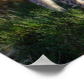 Stalking Lynx Poster (Hoek)