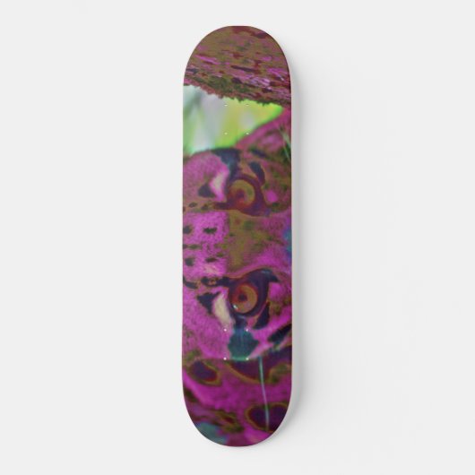 Stalking Prey Persoonlijk Skateboard (Voorkant)