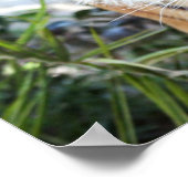 Stalking Tiger Poster (Hoek)