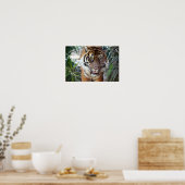 Stalking Tiger Poster (Keuken)