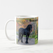 Stallianties van Brookside Friesians LLC