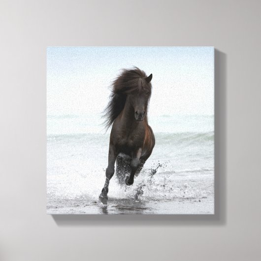 Stallion aan boord | Noord-Atlantische Oceaan Canvas Afdruk (Voorkant)