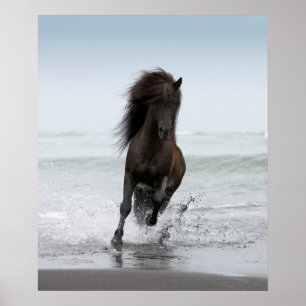 Stallion aan boord Noord-Atlantische Oceaan Poster