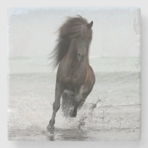 Stallion aan boord Noord-Atlantische Oceaan Stenen Onderzetter