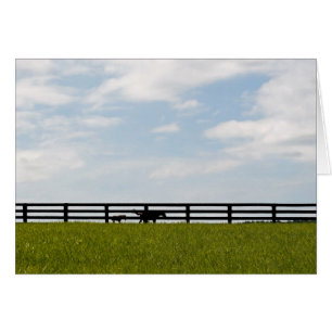 Stallion Boerderij