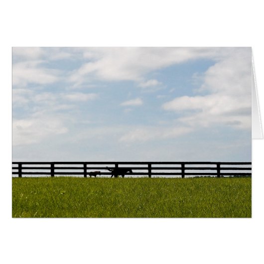 Stallion Boerderij (Voorkant Horizontaal)