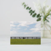 Stallion Boerderij Briefkaart (Staand voorkant)
