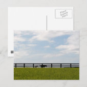 Stallion Boerderij Briefkaart (Voorkant / Achterkant)
