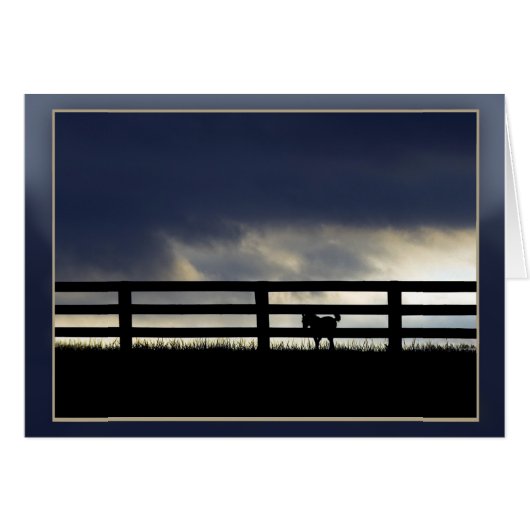 Stallion Boerderij Silhouette (Voorkant Horizontaal)