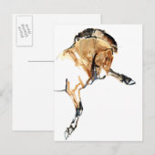 Stallion Briefkaart (Voorkant / Achterkant)