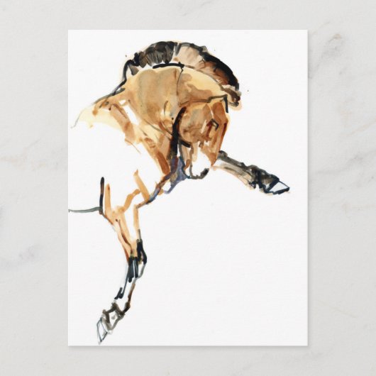 Stallion Briefkaart (Voorkant)