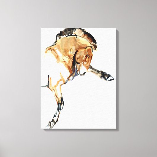 Stallion Canvas Afdruk (Voorkant)