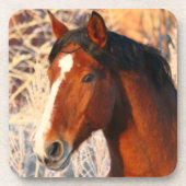Stallion Horse Drankjes Onderzetter (Voorkant)