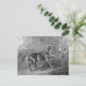 Stallion Horse  Illustratie Briefkaart (Staand voorkant)