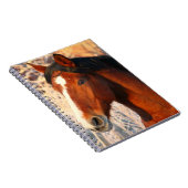 Stallion Horse Notitieboek (Rechterzijde)