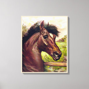  STALLION HORSE PORTRAIT. STERK HORSGEBIED CANVAS AFDRUK